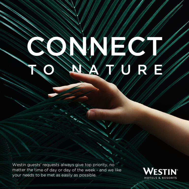 Westin Hotel Resort hospitality marketing campaign by CAIROFLO Cairo
